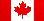 canadian flag.jpg